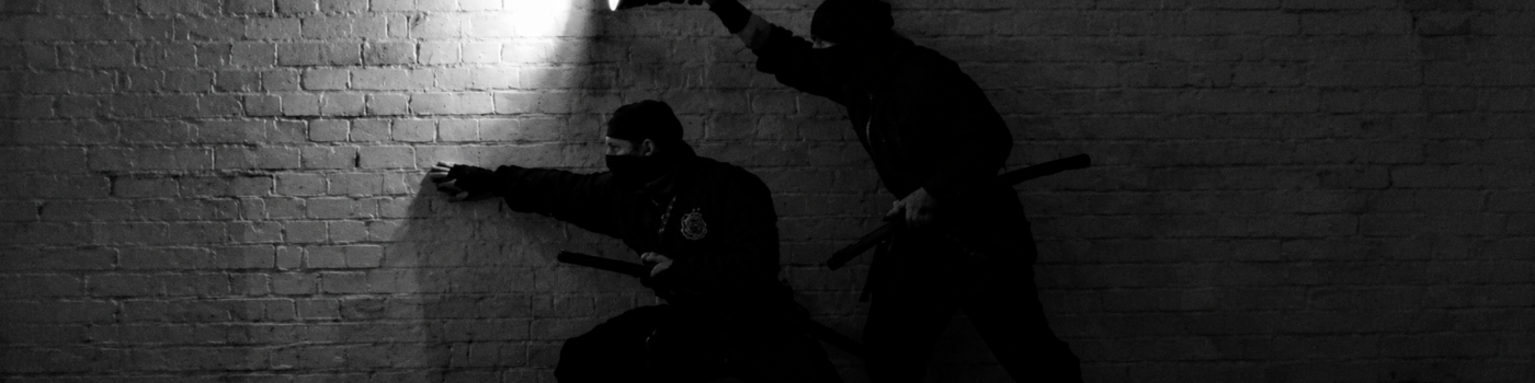 Ninjutsu